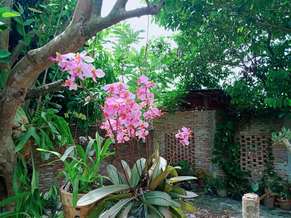 Bua Guest House Μεντάν Εξωτερικό φωτογραφία