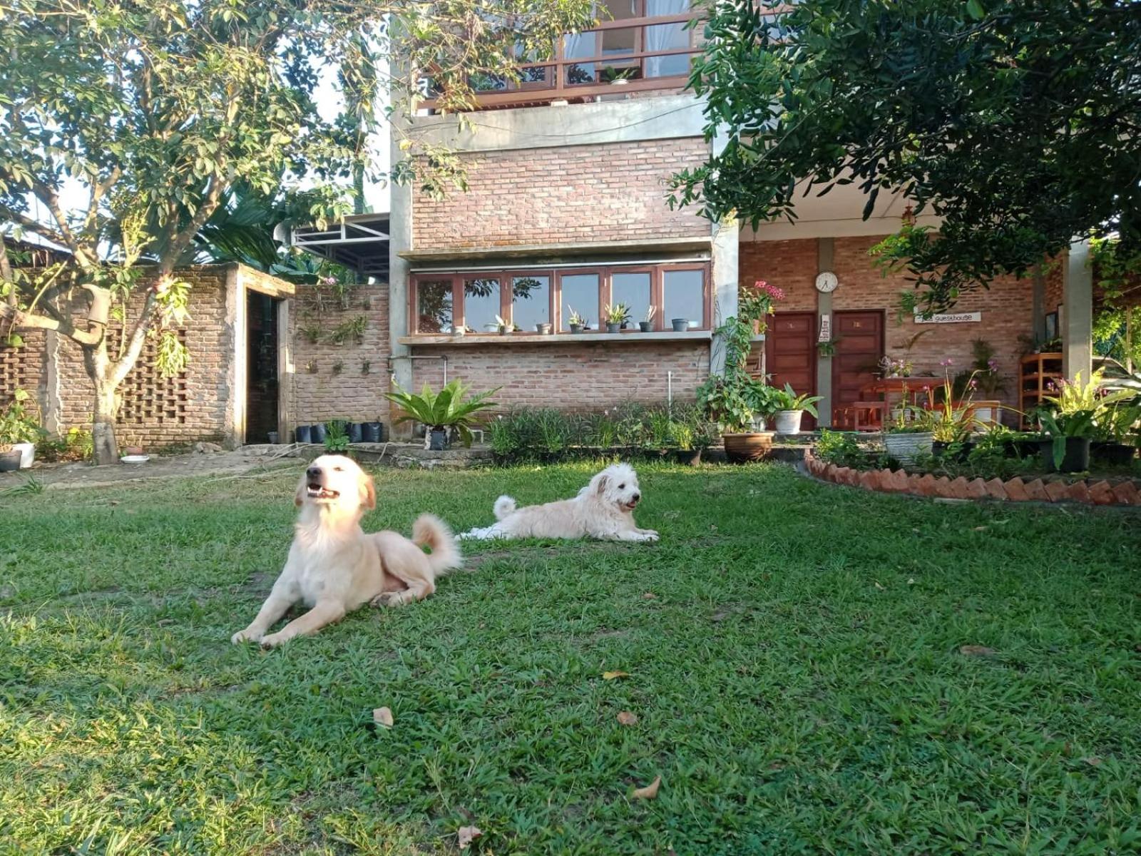 Bua Guest House Μεντάν Εξωτερικό φωτογραφία